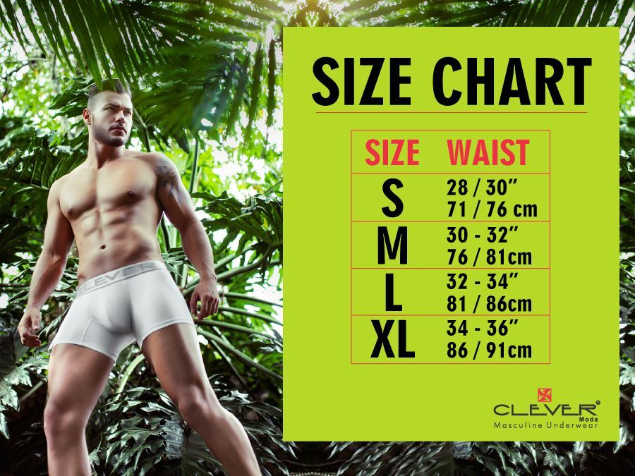 Clever Moda Men's Underwear 5373 Australian Latin Briefs Color White