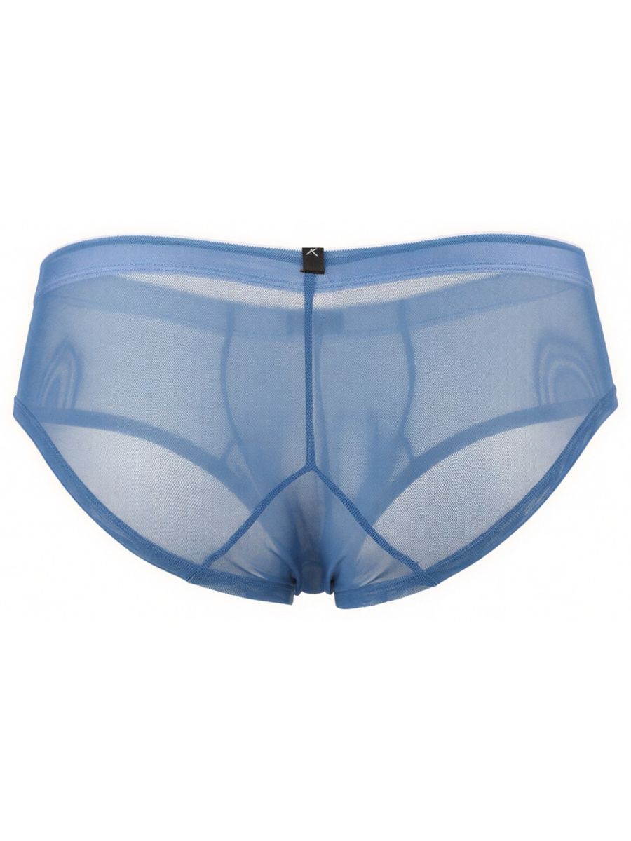 Xtremen 91263 Men's Underwear Microfiber Mesh Briefs Color Blue