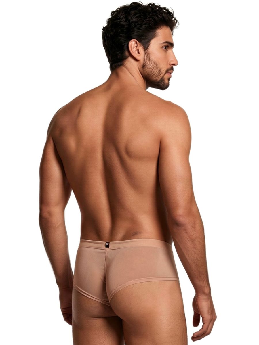 Xtremen 91263 Men's Underwear Microfiber Mesh Briefs Color Brown